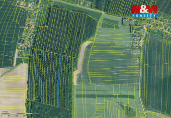 Prodej lesa, 6005 m², Dražíč - 5