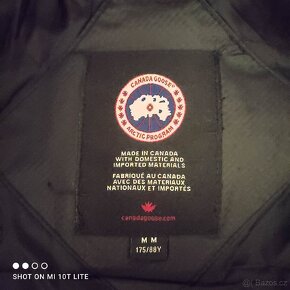 Canada goose - 5