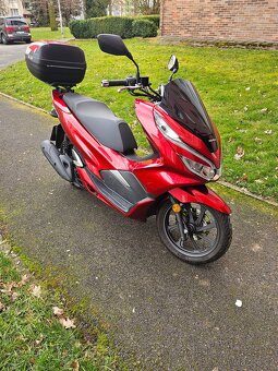 Honda pcx 125 - 5