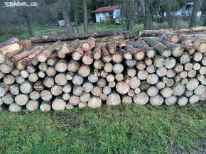 palivové dřevo suché borovice Příbram Milín Sedlčany cca20m3 - 5