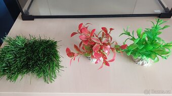 Terárium, akvarium - 5
