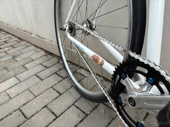 Fixie/singlespeed - 5