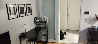 Pronajmu nový, zařízený byt 1kk 42m s terasou - Hagibor - 5