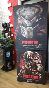 Predator - 5