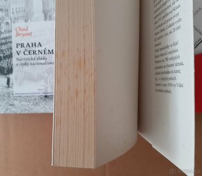 Blaive Promarněná příležitost, Igor Lukeš, Veyne Suk, Šedivý - 5