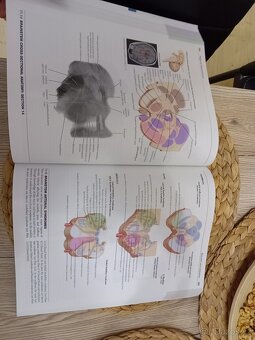 Netter's atlas of neuroscience 4th edition - Felten, neuroa - 5