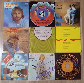 SP vinylové desky různých interpretů v perfektním stavu - 5