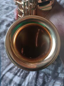 Es Alt Saxofon Roy Benson AS202 zlatolak - 5