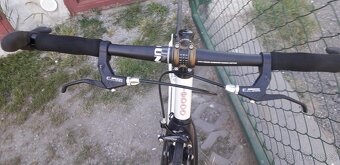 Yedoo wolfer - 5