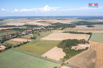 Prodej lesa, 9132 m², Panoší Újezd - 5