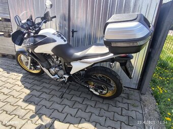 Honda XL 700 V Transalp - 5