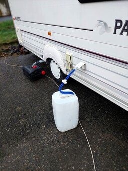 BAYLEY PAGEANT MAJESTIC | rok v. 2001 | hmotnost 1 050 kg - 5