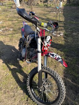 Pitbike 125 - 5