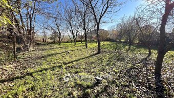 Prodej pozemku - zahrady, 436 m2 - Šafov, okr Znojmo - 5
