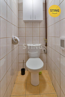 Pronájem bytu 1+1 v Hodoníně, 38m2, 132757 - 5