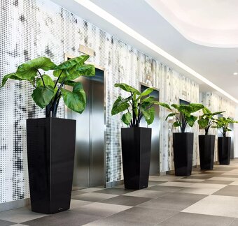 Lechuza Cubico Alto 40 Samozavlažovací květináč - 5