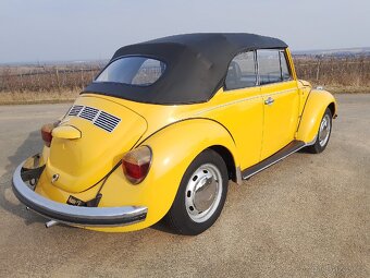 VW brouk Cabrio - 5