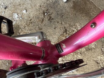 Specialized Hotrock 20" - 5