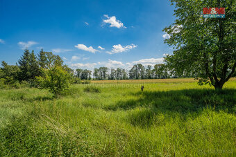 Prodej pozemku k bydlení, 1342 m², Loucká - 5
