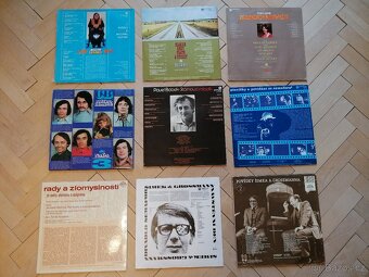 Vinyl SP / LP desky 60. - 80. léta - 5