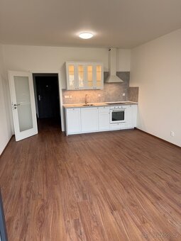 Pronájem bytu 1+KK Opava, Bílá Perla - 5