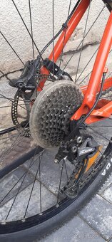 Kolo Colnago - 5