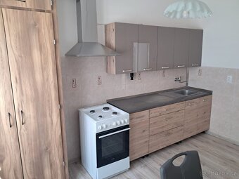 Pronájem bytu v Ostrově u Karlových Varů - 5