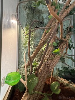 Terárium 120x86cm - 5