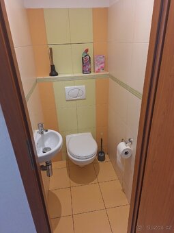 Pronájem bytu v Poděbradech - 5