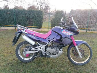 Kawasaki KLE 500 - 5
