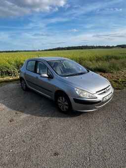 Peugeot 307 - 5