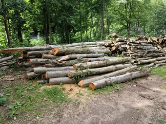 Dřevo na topení - 5