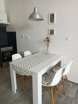 Pronájem velkého bytu 1+kk - 5