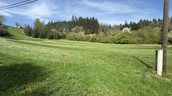 Prodej stavebního pozemku 3156 m2 - 5