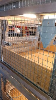 Prodám sestavu klecí pro drobné ptactvo z regálu - 5
