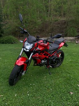 Benneli bn 125 ( 2021 ) - 5
