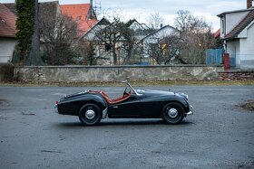 Triumph TR3 - 5