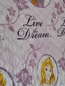 Obří deka přikrývka přehoz Disney princezny - 5