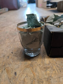 Hrníčky, sklenice, talíře, keramika, sošky a jiné nálezy na - 5