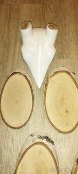 Podložky pod srnčí paroží+lebka na jelení shozy - 5