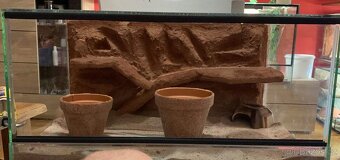 Terárium 60x40x30 s 3D stěnou - 5