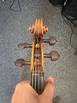 Viola 38.9, značeno Bartolomeo Obici - 5