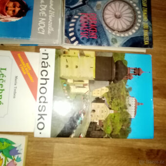 Prodám staré knihy Zikmund a Hanzelka, Byliny a Náchod aj. - 5