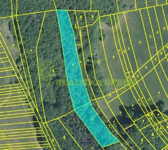 Prodej lesních pozemků, k.ú. Hřivínův Újezd, CP 11067 m2 - 5
