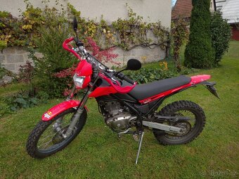 Beta Alp 200 - 5