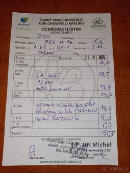 Rex dalmatinský strakáč černožlutý - 5