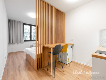 Pronájem bytu 1+kk, Na Větrníku, Břevnov, 15004 Kč/měs, 27 m - 5