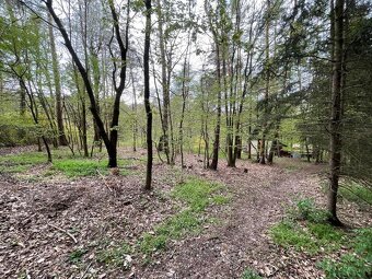 Prodej chaty 40 m², pozemek 300 m² Skuhrov - Hodyně - 5