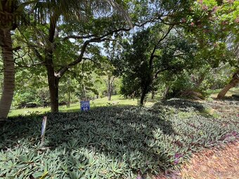 LOT 10 Bodden Bight Estate, Roatan - 5