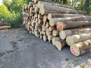 SUCHE típané palivové dřevo od 990Kč/prms - 5